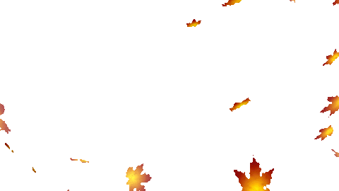 Leaves Falling Transparent Gif Animated Falling Leaves Background Gifs Tenor How To Download Falling Leaves Png Su Frameall The Falling Leafs Png Shown Above Are Just For Sample And Not In