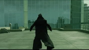 Dodge GIF