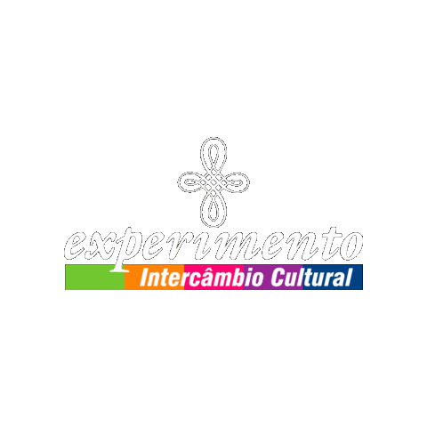 Experimento Intercambio Sticker