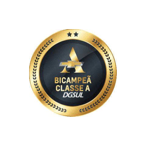 DGSUL Chevrolet Sticker