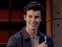 Happy Shawn Mendes GIF by The Late Late Show with James Corden