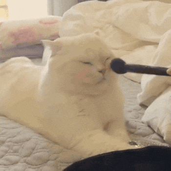 Makeup Reaction GIF by MOODMAN reaction, mood, makeup