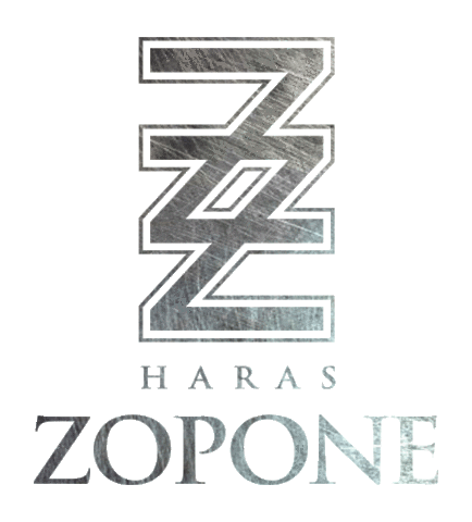 Haraszopone Sticker