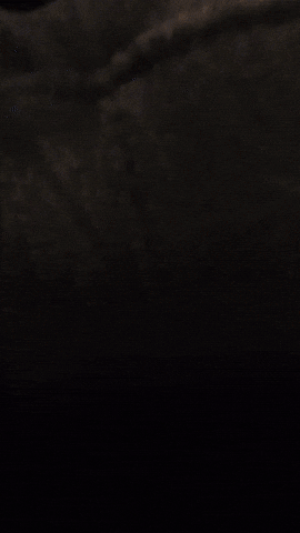 Crawdad GIF by The Dead South