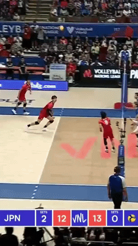 Sport Team GIF by Volleyball World