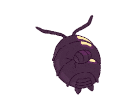 Animated Sticker