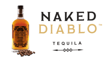 Naked Diablo GIF
