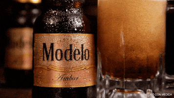 Beer Ambar GIF by Cerveza Modelo MX