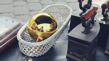 GIF by cukru