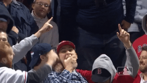 Crazy Red Sox Fan 