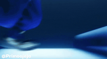 Sora GIF