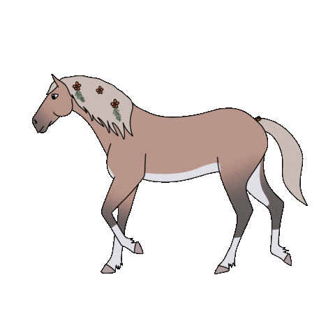 Animated Sticker