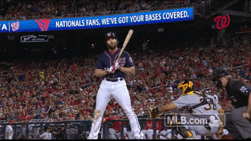 Zoom In Washington Nationals GIF by MLB