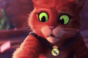 Real Madrid GIF