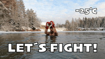 Come On Fight GIF by partamaani