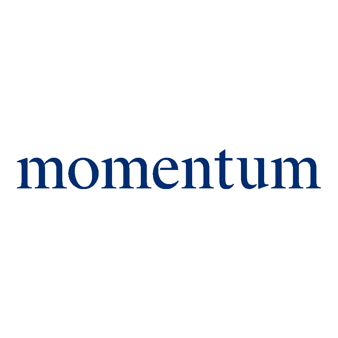 Momentum Realty Sticker