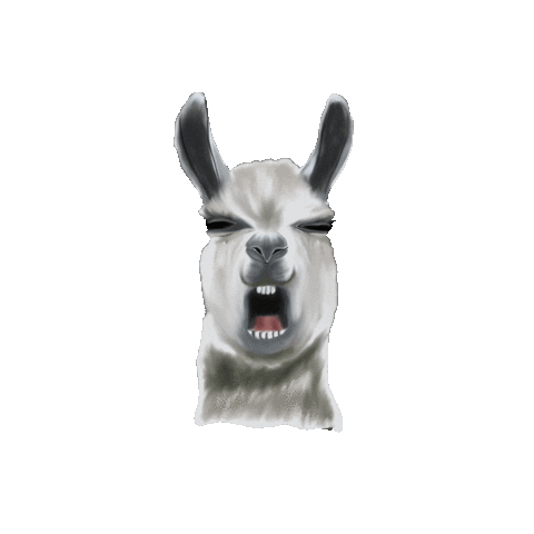 Alpaca What Sticker