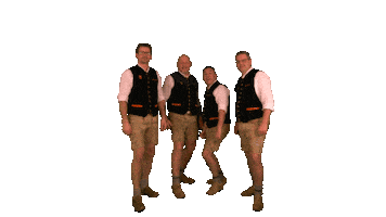 Musik Ok Sticker by Die Hafendorfer