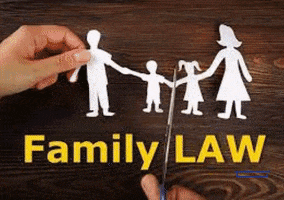 Family Lawyer In Delhi GIF