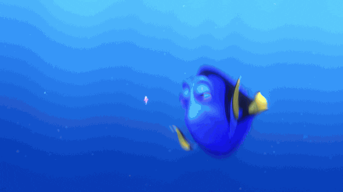 [Imagen: giphy.gif?cid=790b76115d0010e16b46687359...=giphy.gif]