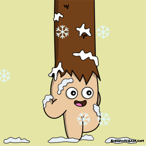 Snowing Snowflakes GIF by Bored On Chain