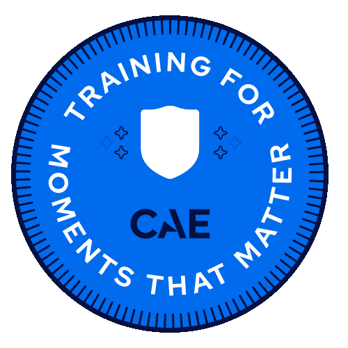 Security Defense Sticker by CAE