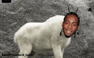 Kawhi Leonard Lover GIF