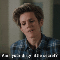 Lying Cameron Esposito GIF by ABC Network