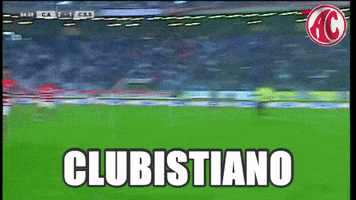tarek  GIF