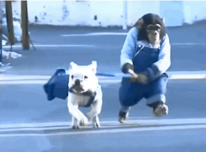 https://media3.giphy.com/media/7faU8GC6Zp0WI/giphy.gif?cid=28f76e61hwvj0dukn6ae5dluaexnzkyxxeht7dvcj1o5hwar&rid=giphy.gif&ct=g