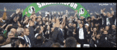 Sakarya Sakaryaspor GIF