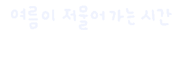 미니의늦여름 Sticker