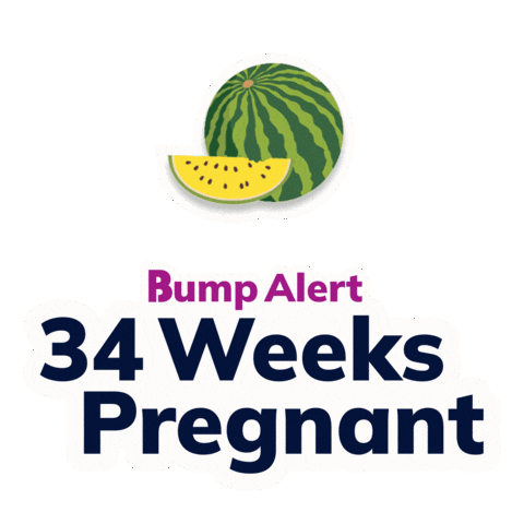 Pregnancy Expecting Sticker by The Bump