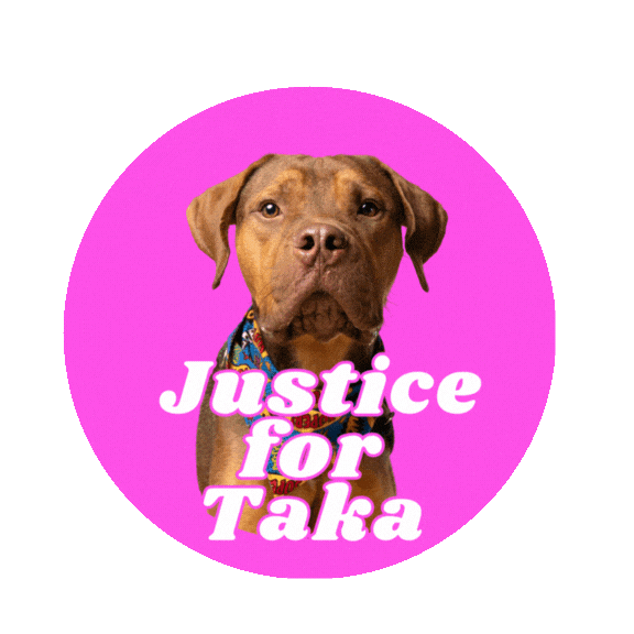Taka Sticker by RescueMeATL