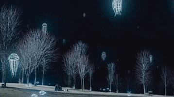 Jellyfish GIF