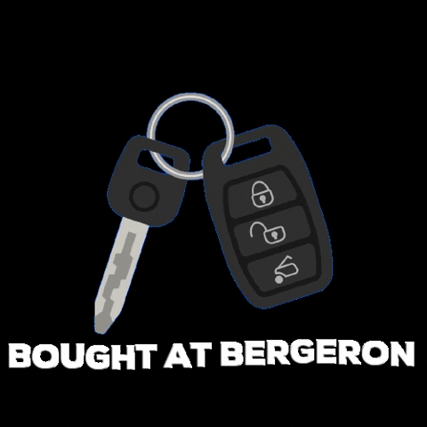 BergeronAuto GIF