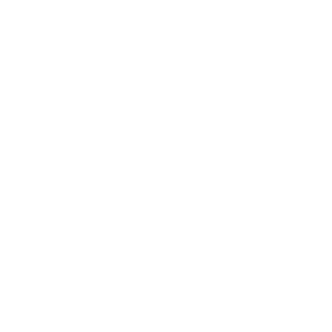 Chicness Music Experience Sticker by chicnessevents