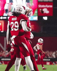 Cardinals-powder-blue GIFs - Get the best GIF on GIPHY