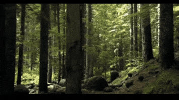 Travel Thank You GIF by Ecovidrio