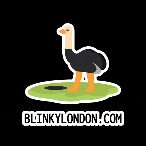 T-Shirt Surprise GIF by Blinky London