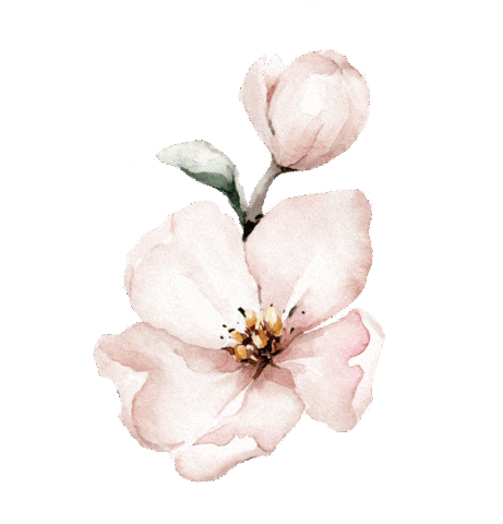 Sticker by Dimples