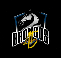 Carnaval Vegano GIF by broncos veganos