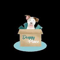 doggyplace dog doggy june dog love GIF