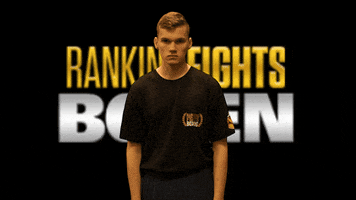 RankingFightsBoxen boxen halle rankingfightsboxen boxenhalle GIF