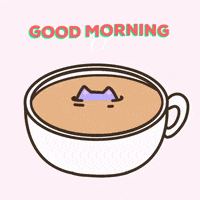 Morning-Energy Gifs - Get The Best Gif On Giphy