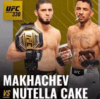 Ufc Cake GIF