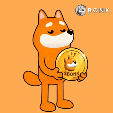 Crypto Web3 GIF by BONK