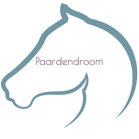 Paardendroom Sticker