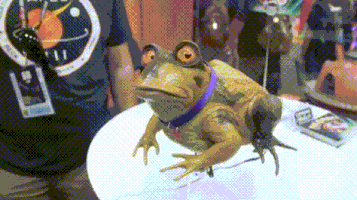 life frog GIF