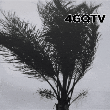 Florida Hurricane GIF by 4GQTV